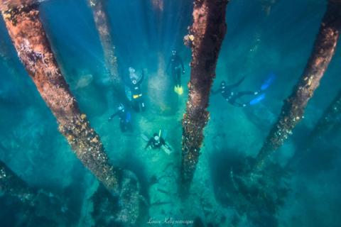 Scuba divers swimming among large underwater pylons with sunlight filtering through the water.