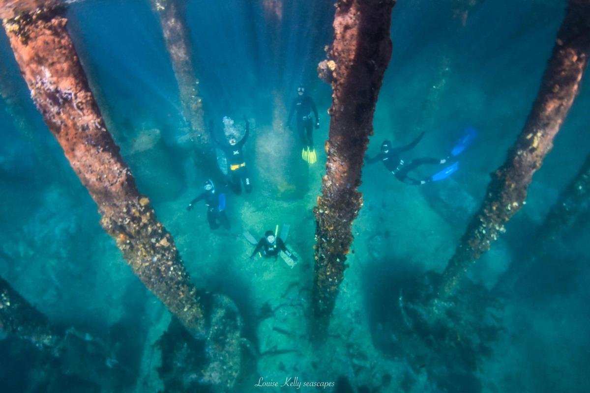 Scuba divers swimming among large underwater pylons with sunlight filtering through the water.