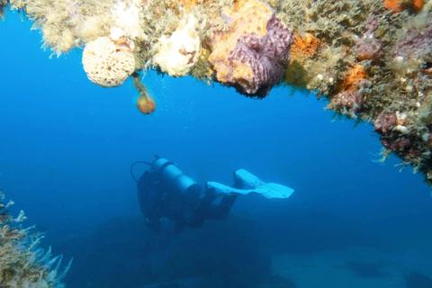 Boat Dive