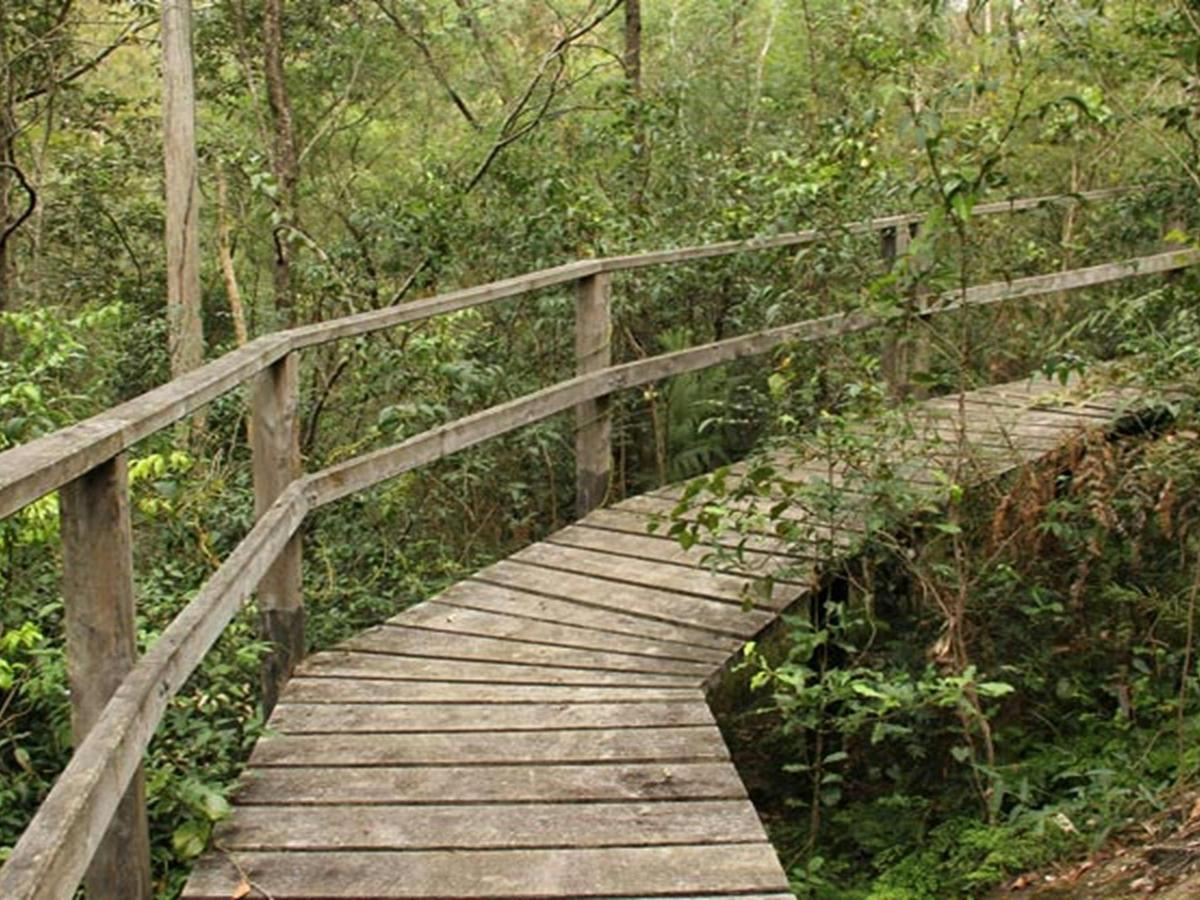 Cattai National Park