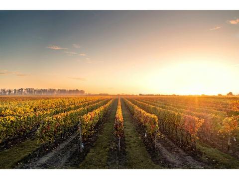 Sydney Wine Tour