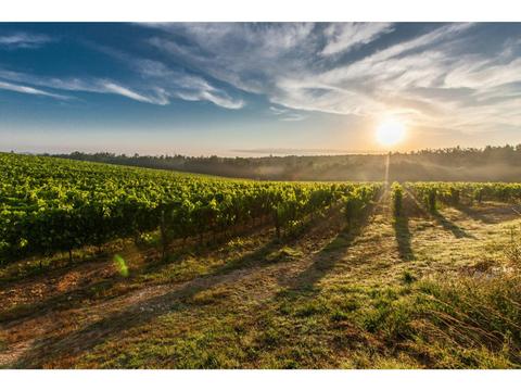 Southern Highland Winery Dinner Tour