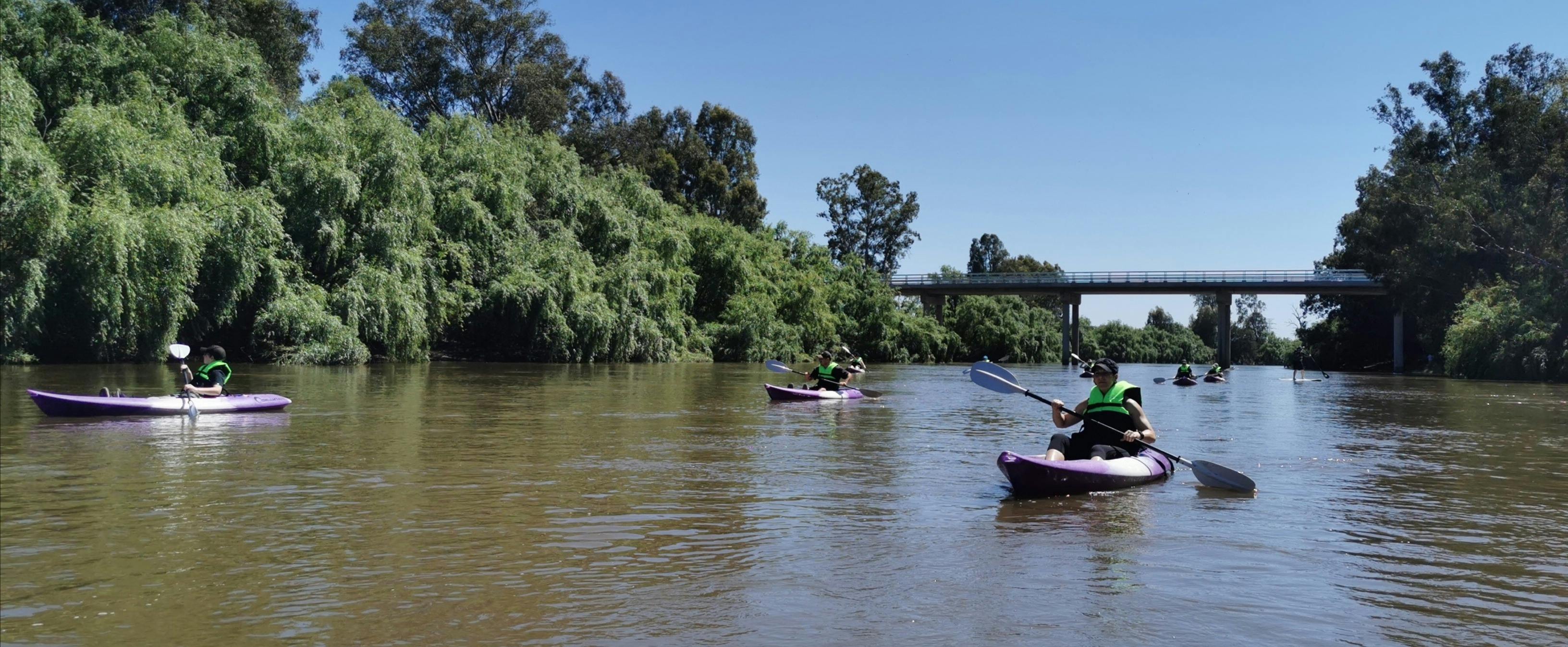 Sunny day paddling a kayak on the Murrumbidgee River in Wagga Wagga
