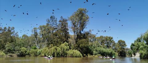 In Motion Fitness Kayak Tours and Hire - Wagga Wagga