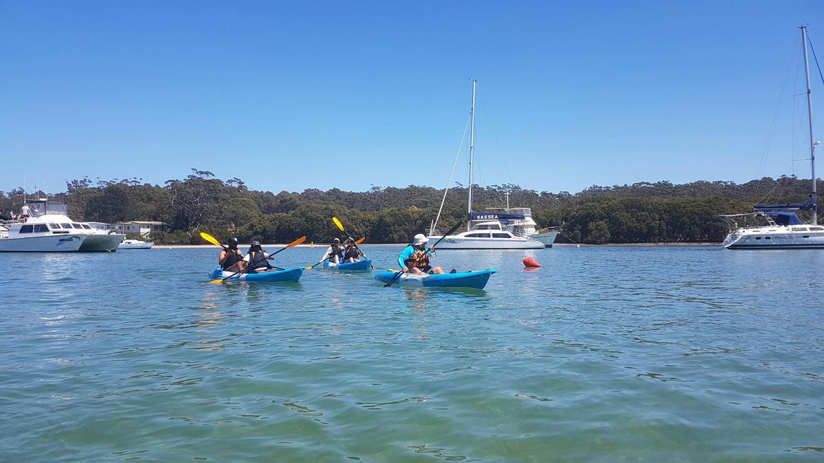 Currambene Creek Kayak Tour jervis Bay