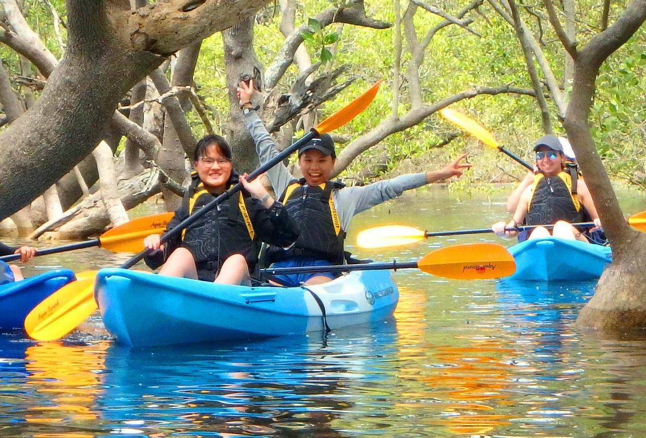 Winding through the mangroves and having a blast