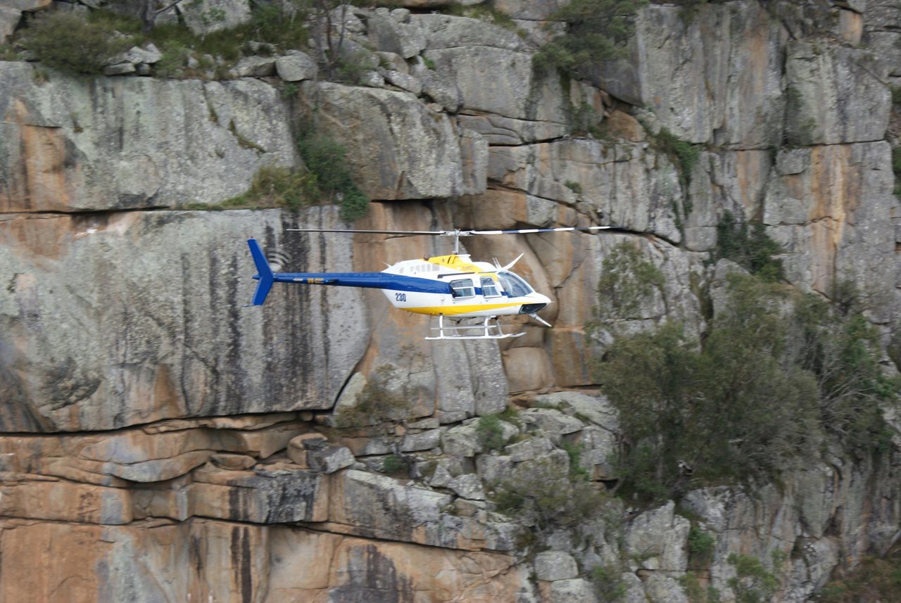 Scenic flight