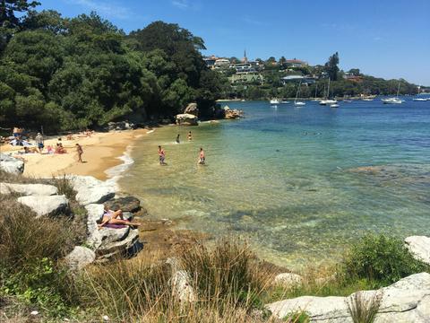 Milk Beach