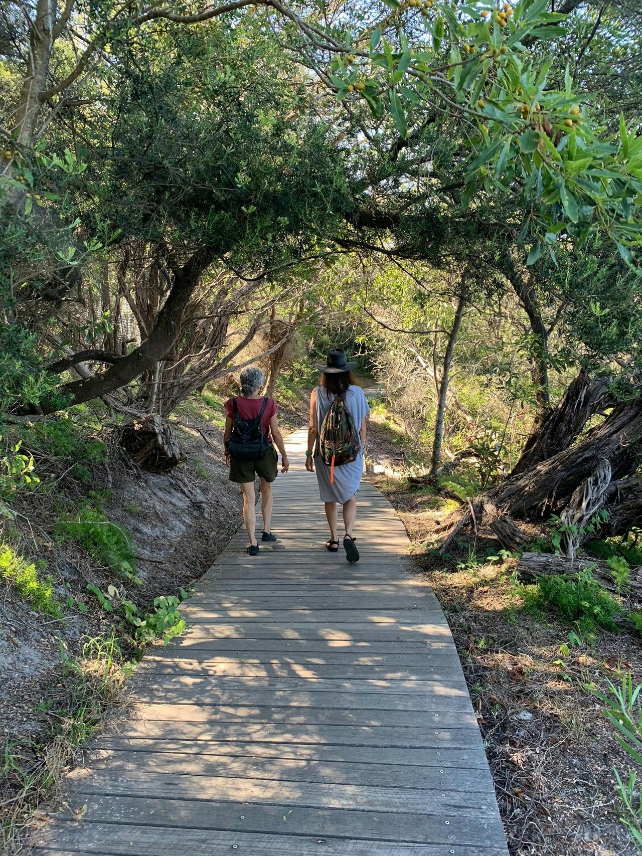 walk amongst nature
