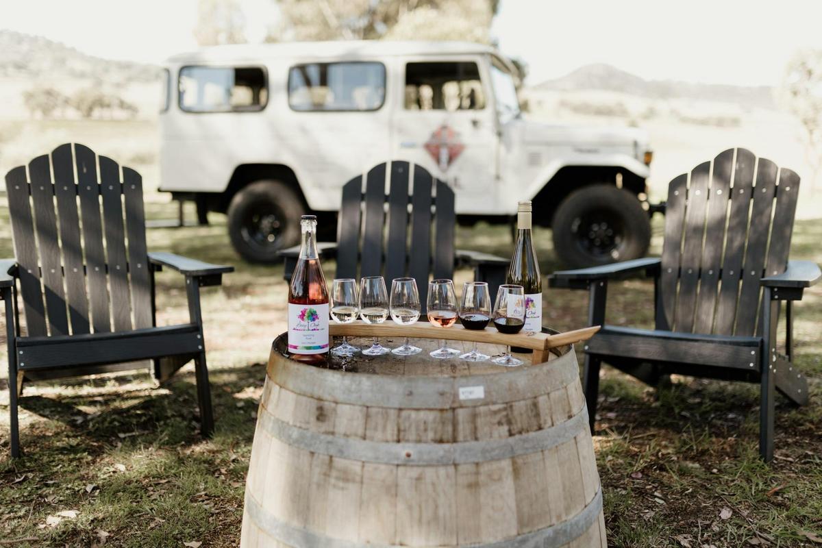 Mudgee Ale Trail troopy with wine tasting paddle