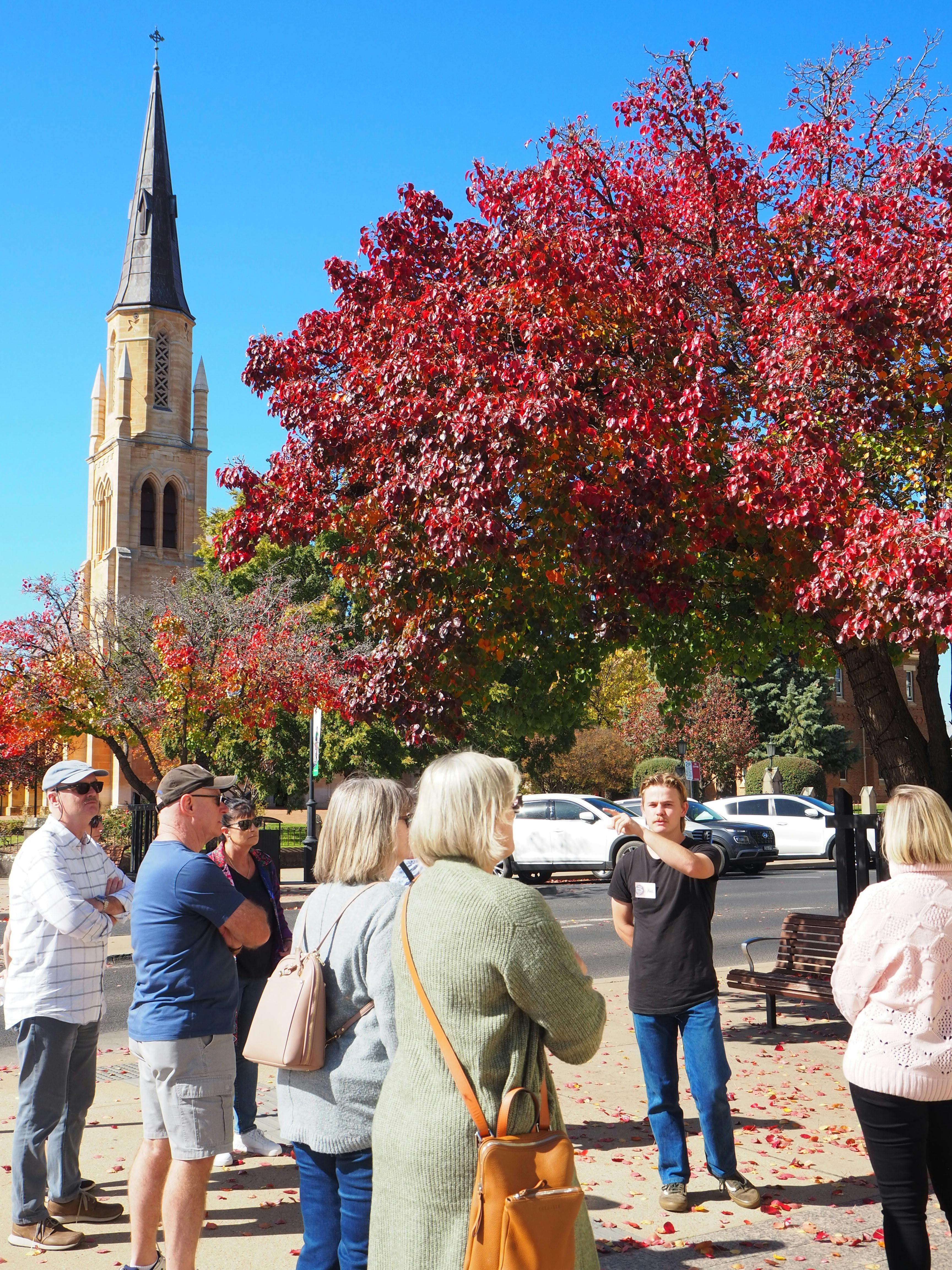 A glimpse of St John's through Spring branches.