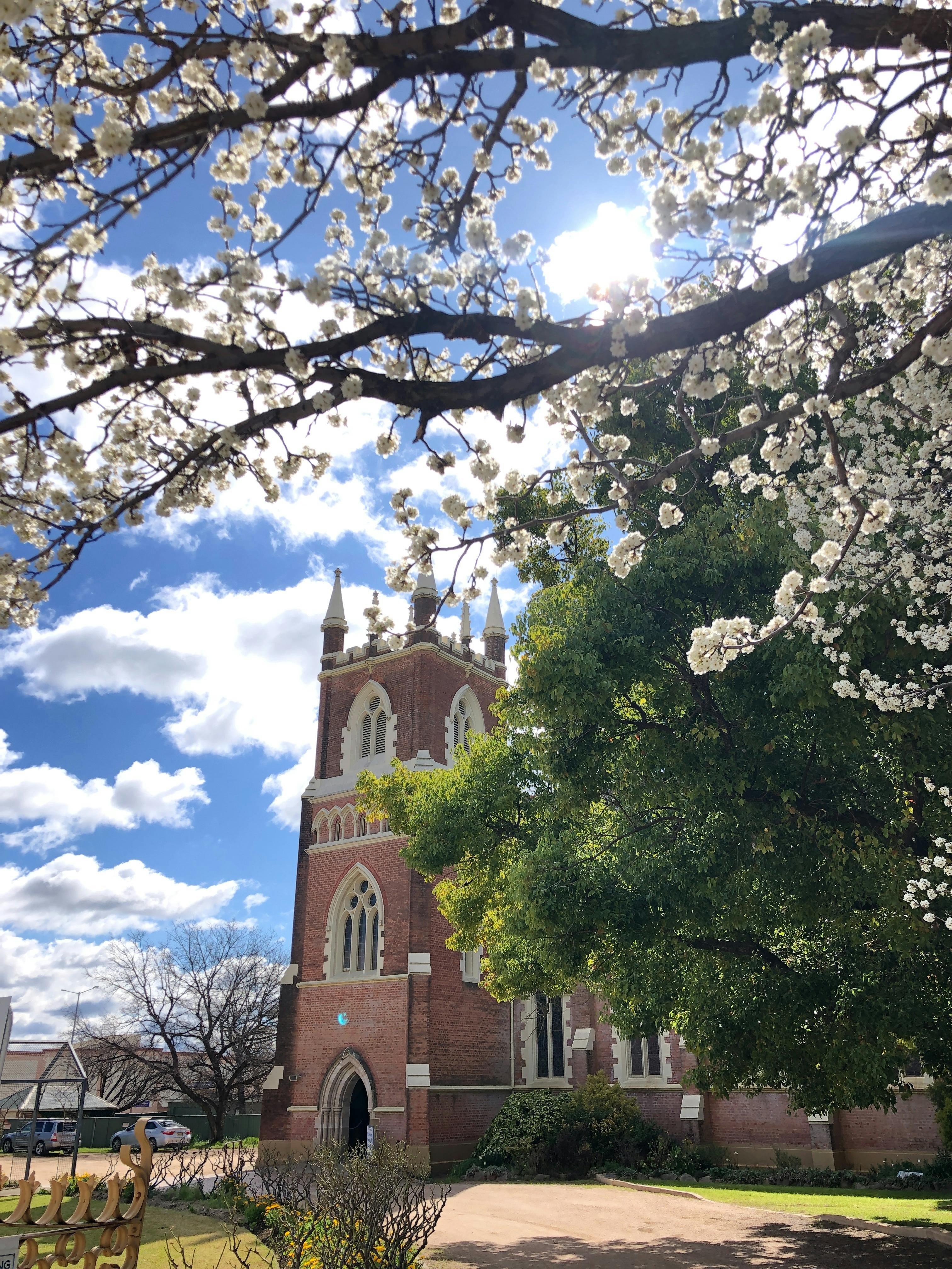A glimpse of St John's through Spring branches.