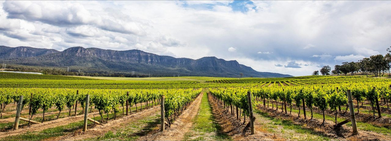 Hunter Valley Countryside