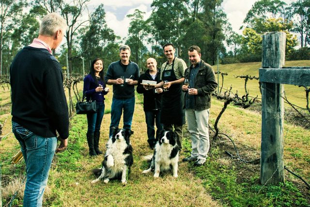Gourmet Getaway Tours