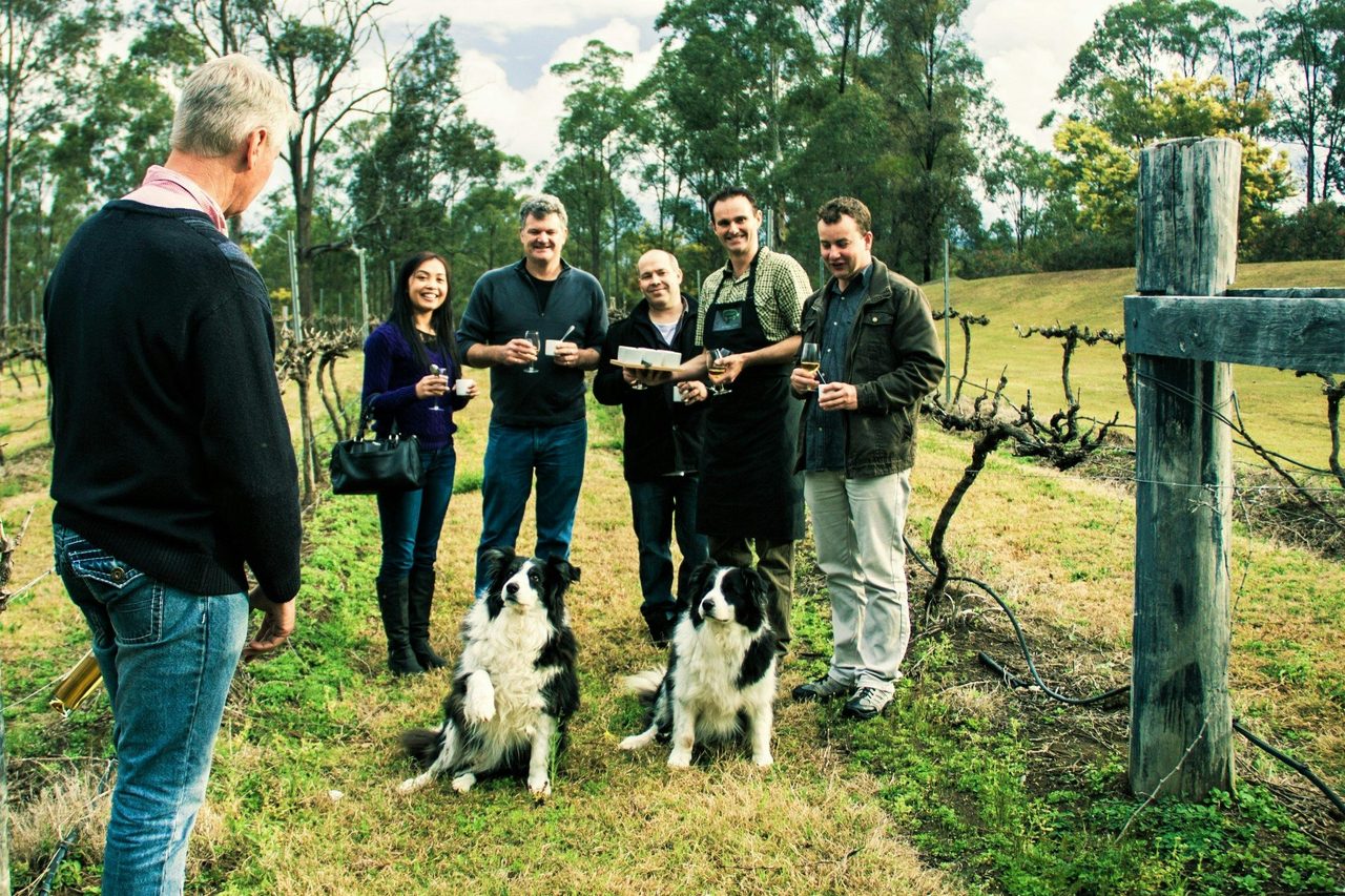 Hunter Valley Tours