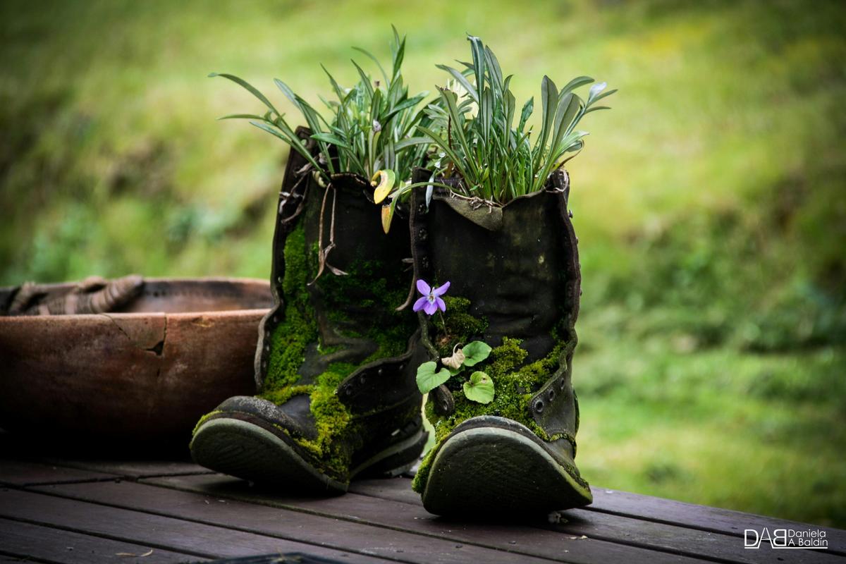 These boots were made for growing