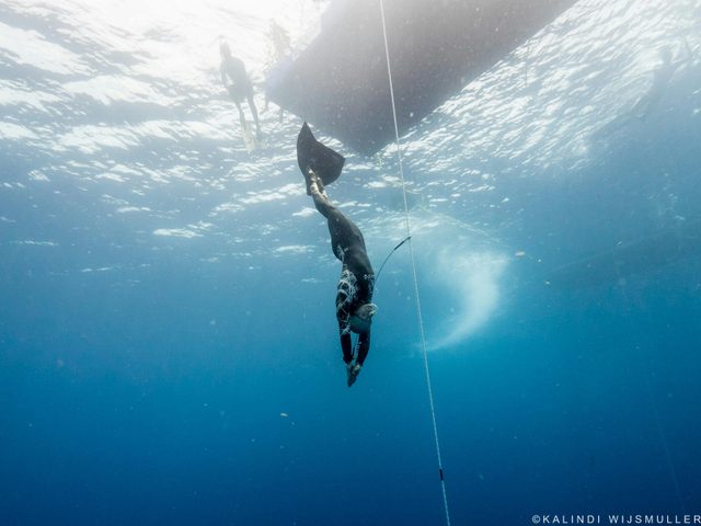 Freediving Course  Byron Bay  (PADI certified)