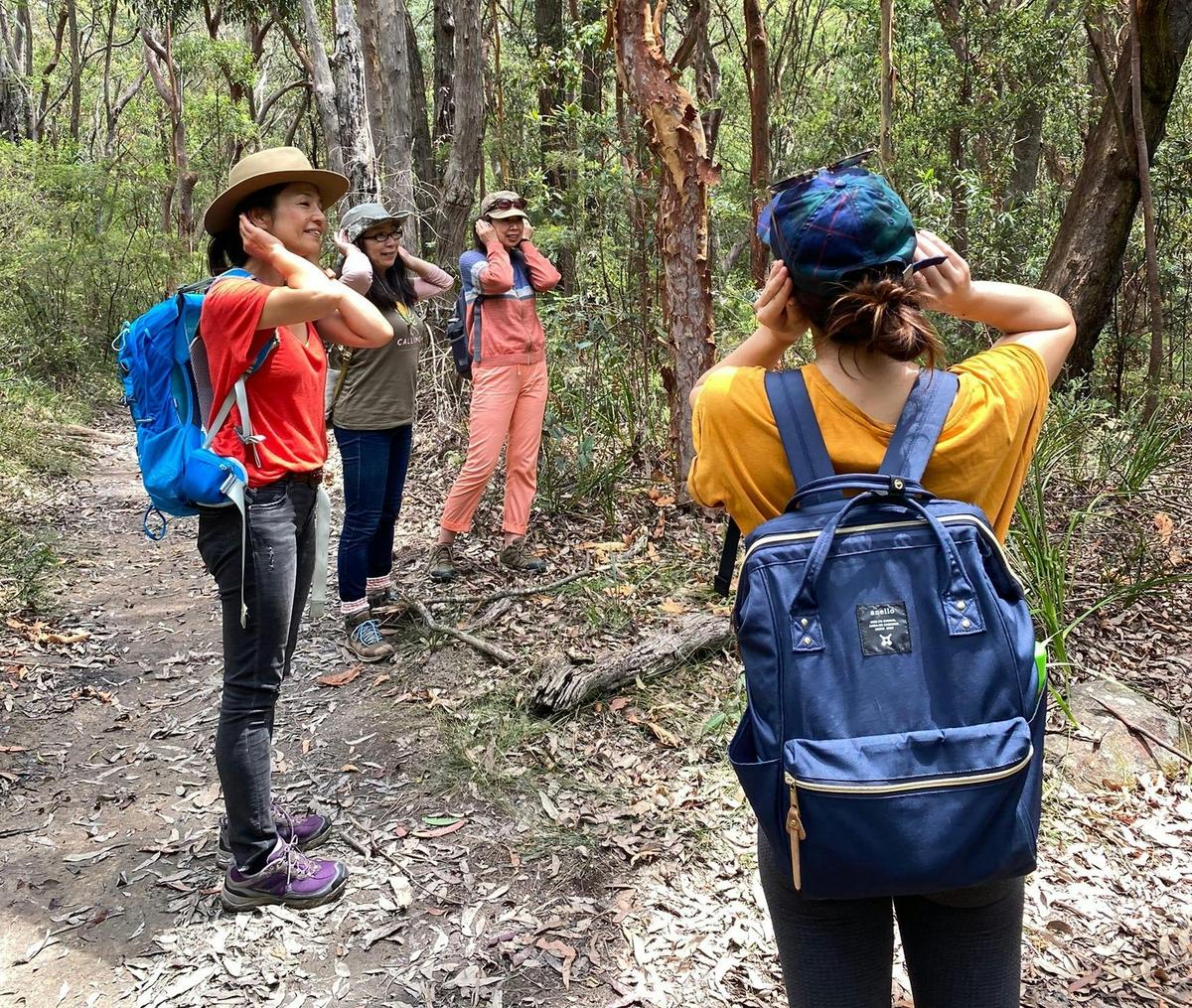 Forest Minds