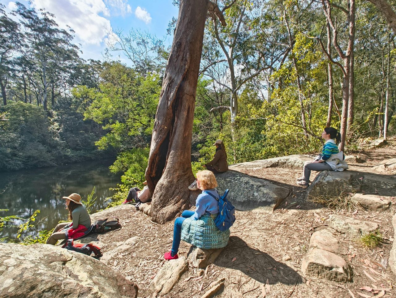 Forest Bathing Activities