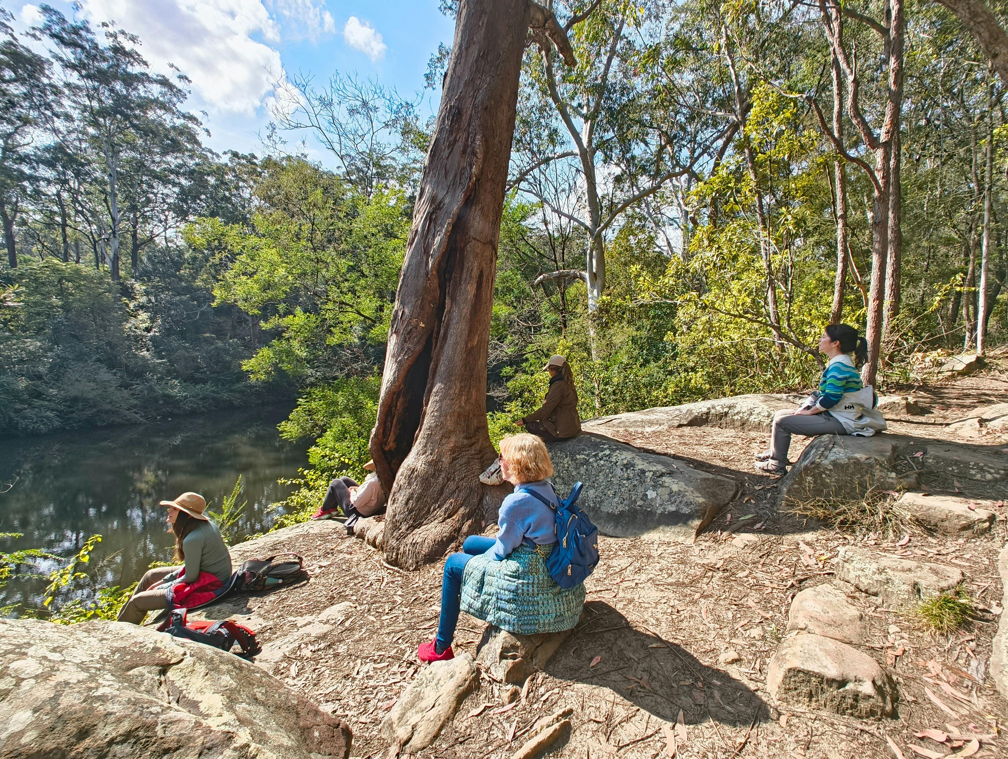 Forest Bathing Activities