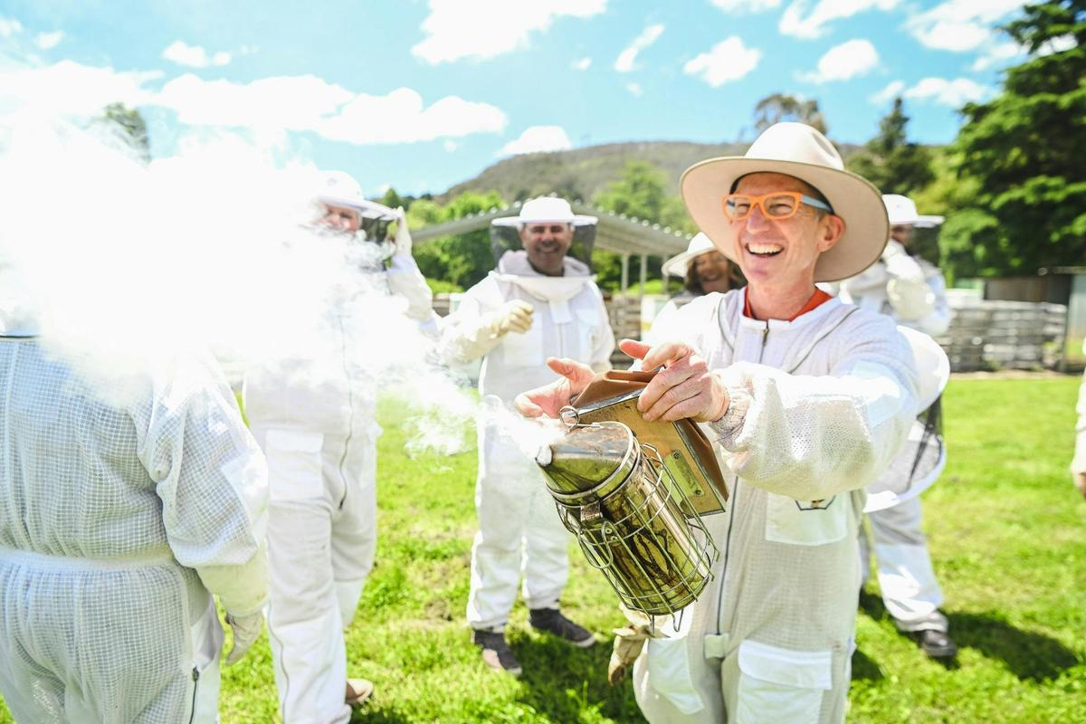 The Beez Neez Group Tour