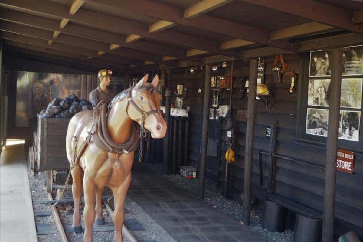 Wollondilly Heritage Group Tour