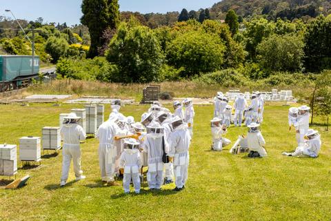 The Beez Neez Group Tour