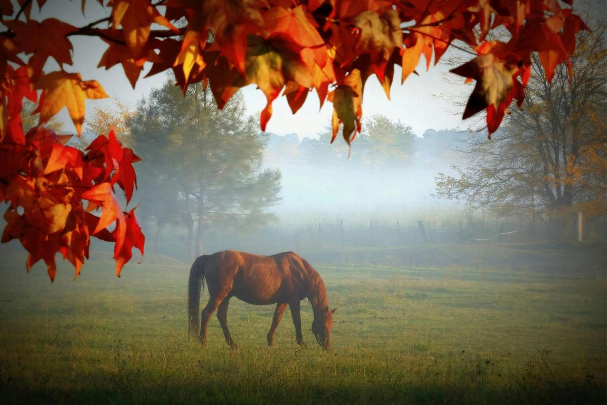 Discover Camden Group Tour