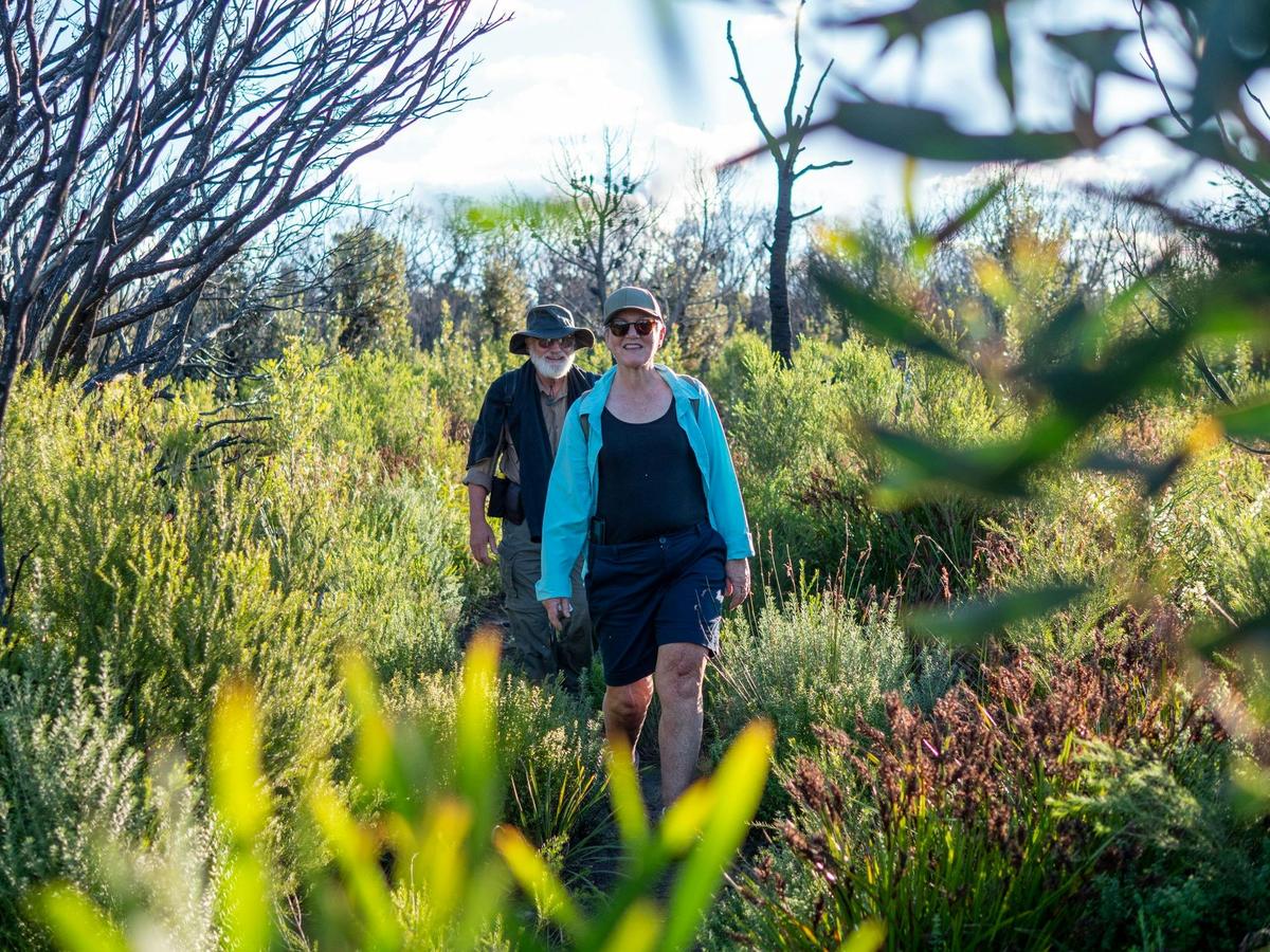 Guests walking in the forest