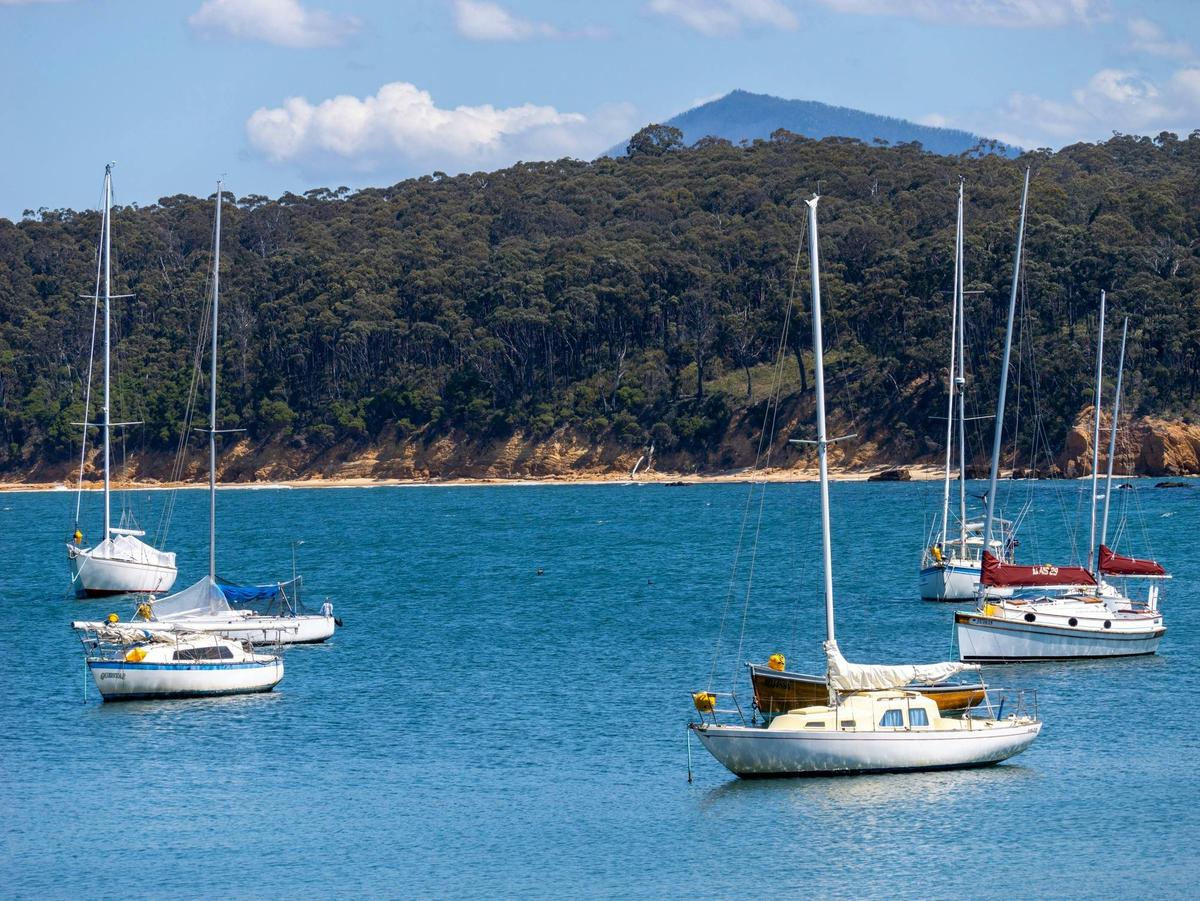 Sail boats at Quarantine Bay