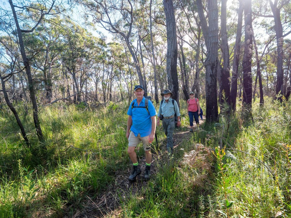 Guests walking along the track
