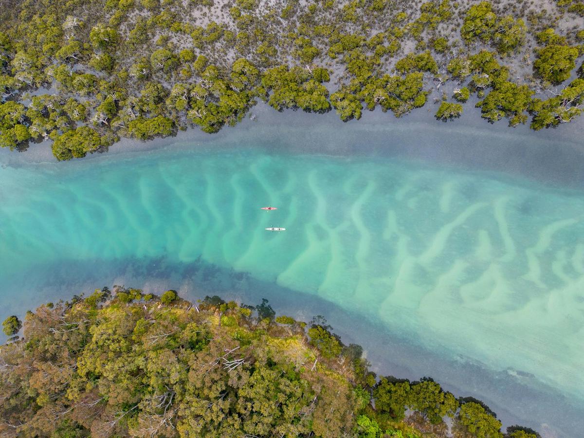 Bermagui River from above