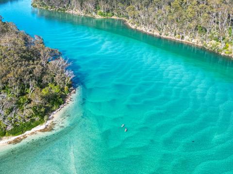 Kayaking Pambula River