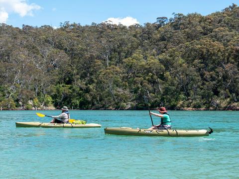 Kayaking Pambula River