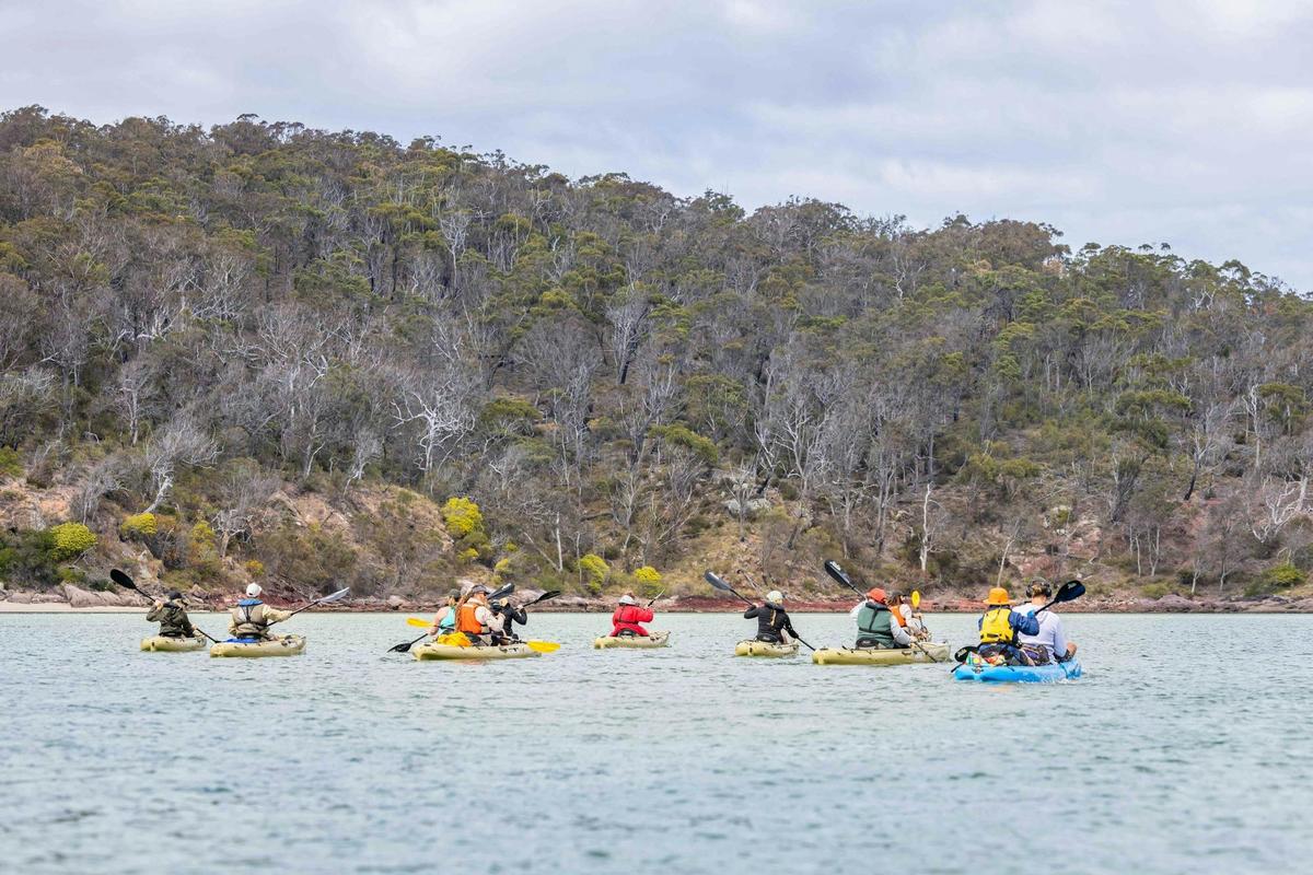 Guests kayaking the Pambula River