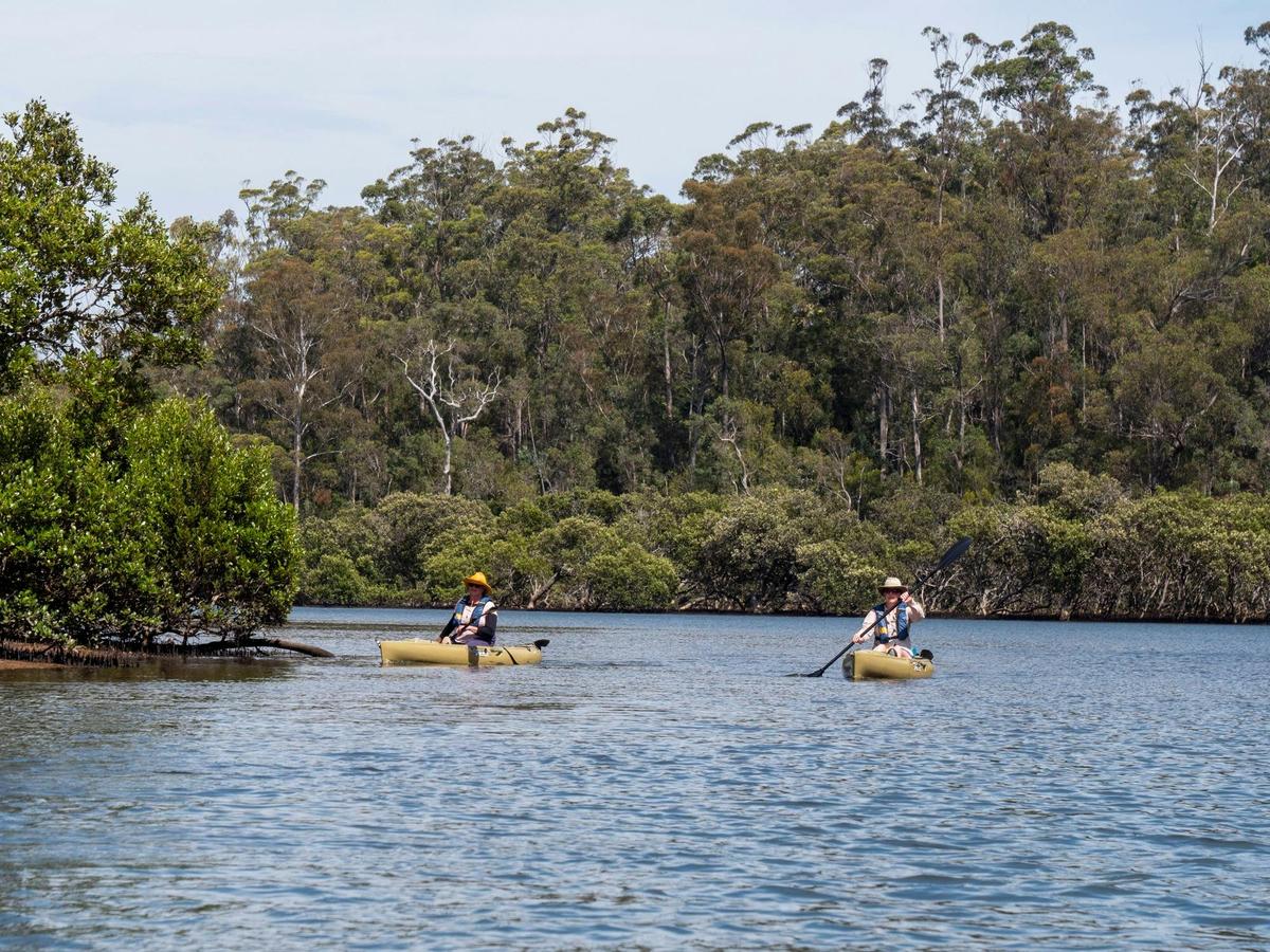 Paddlers on Bermagui River