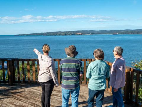 Panoramic Views of Twofold Bay and Boyds Tower from Rotary Park