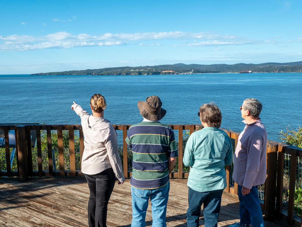 Panoramic Views of Twofold Bay and Boyds Tower from Rotary Park