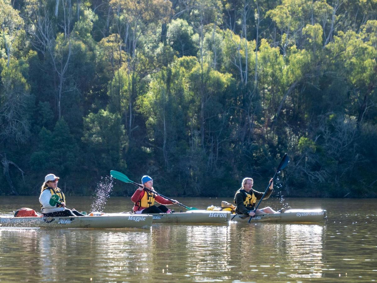 Brogo Dam - Backlit Paddlers