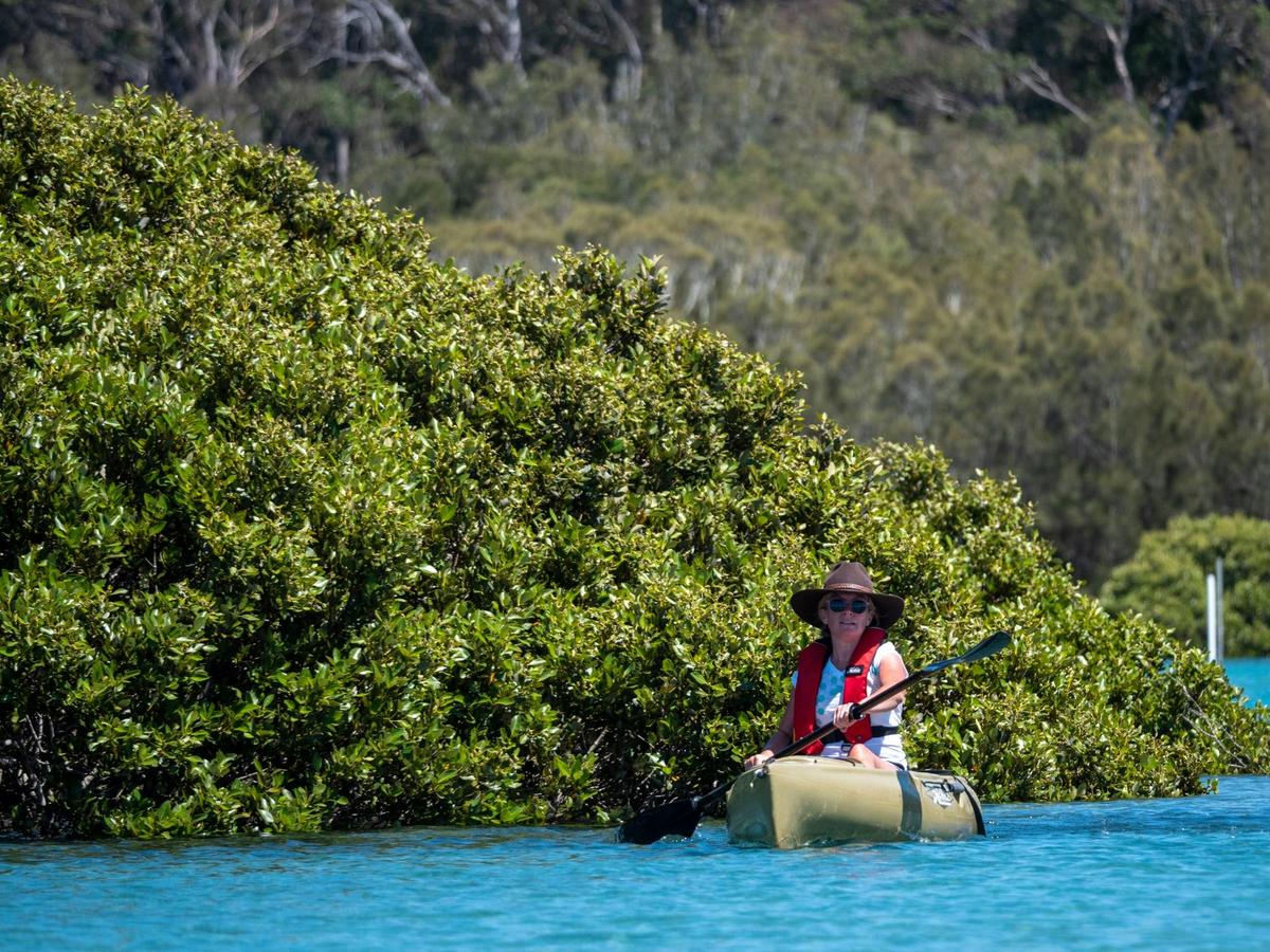 Kayaker on the Bermagui River
