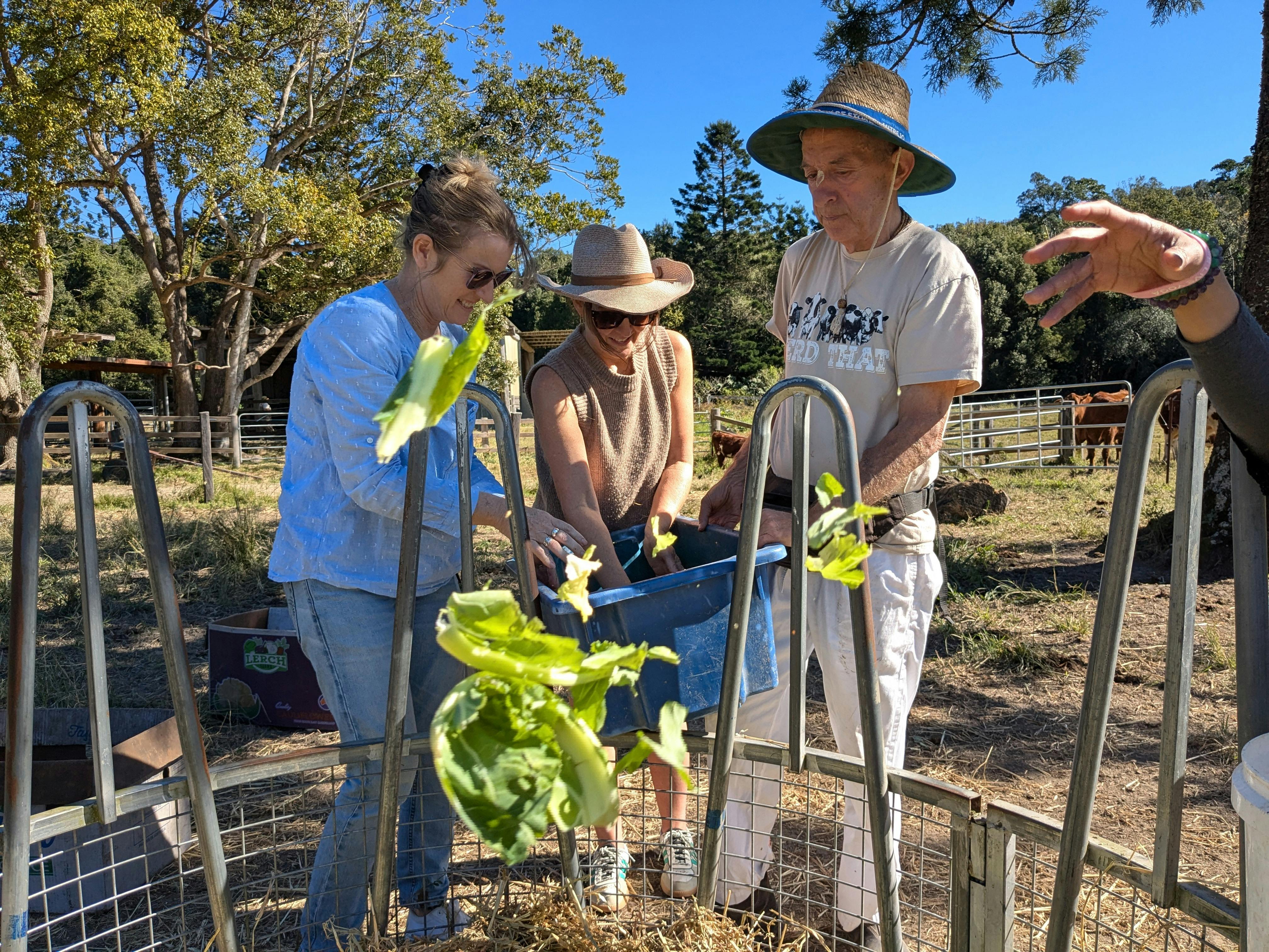 Tour participants helping with the bullock feeding making a veggie "pizza"