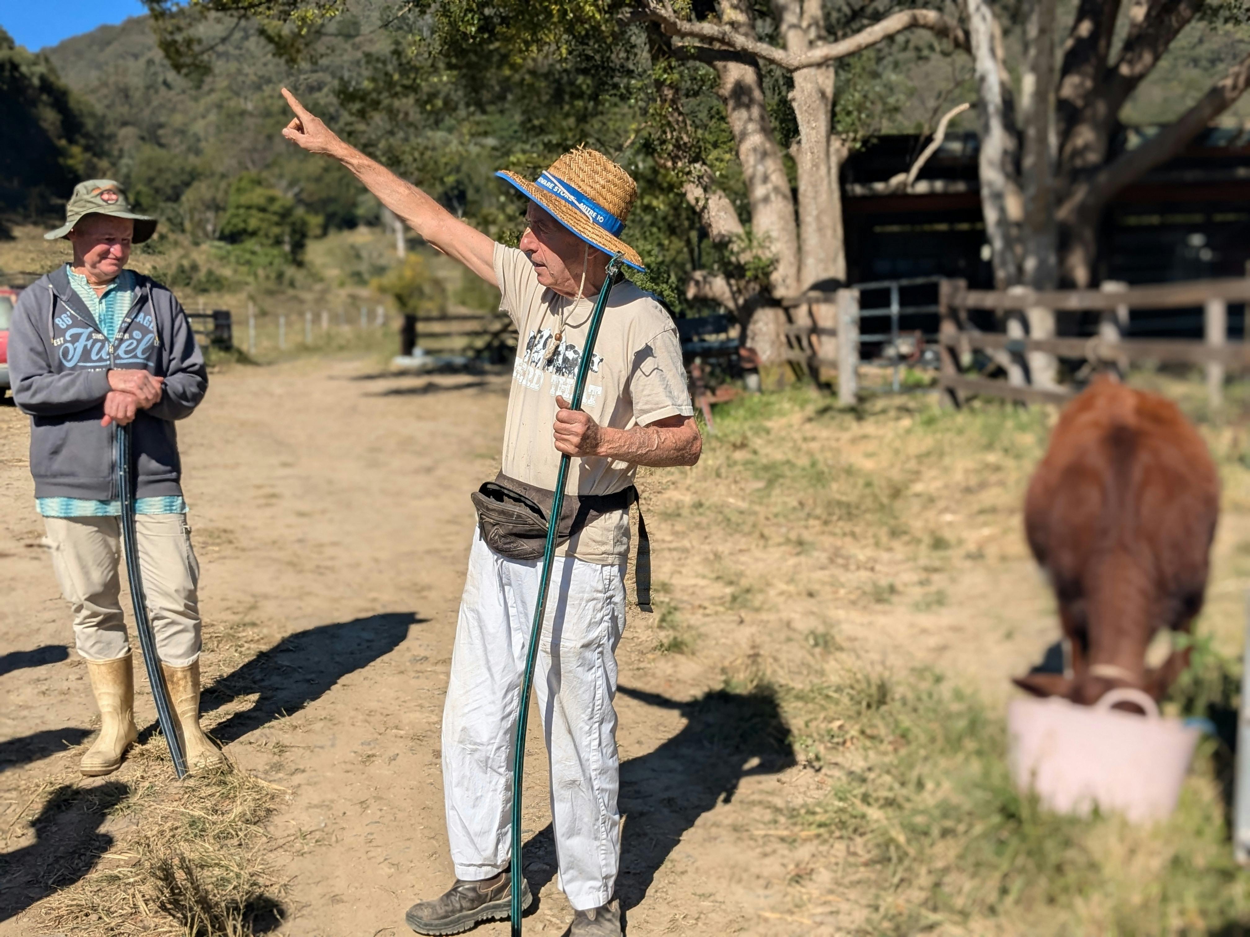 Our amazing Krishna Kirtan loves sharing his knowledge about the bullocks of Krishna Farm
