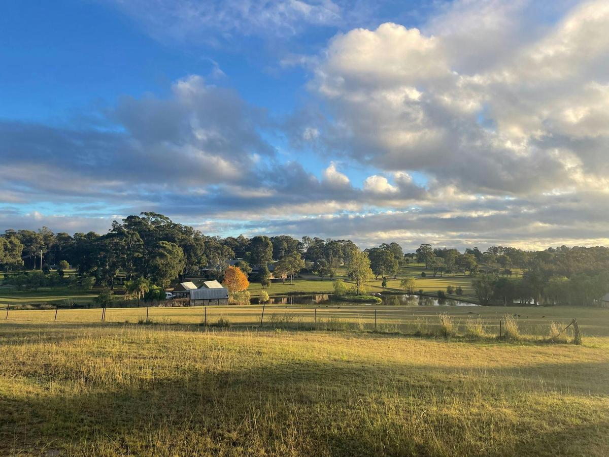 Scenic countryside views