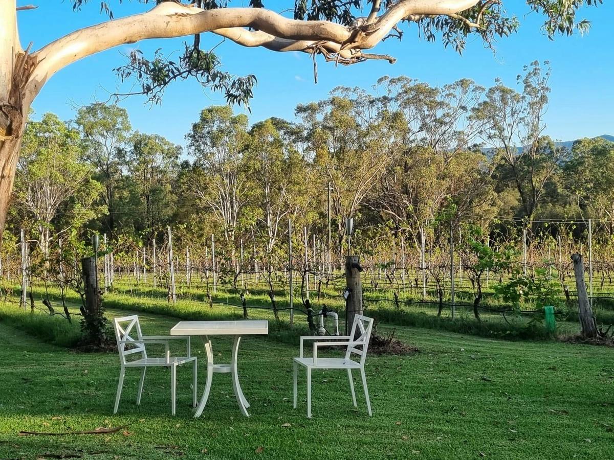 Relaxed garden setting