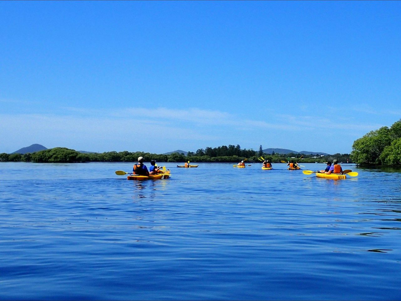 Paddling on the Myall River with Lazy Paddles
