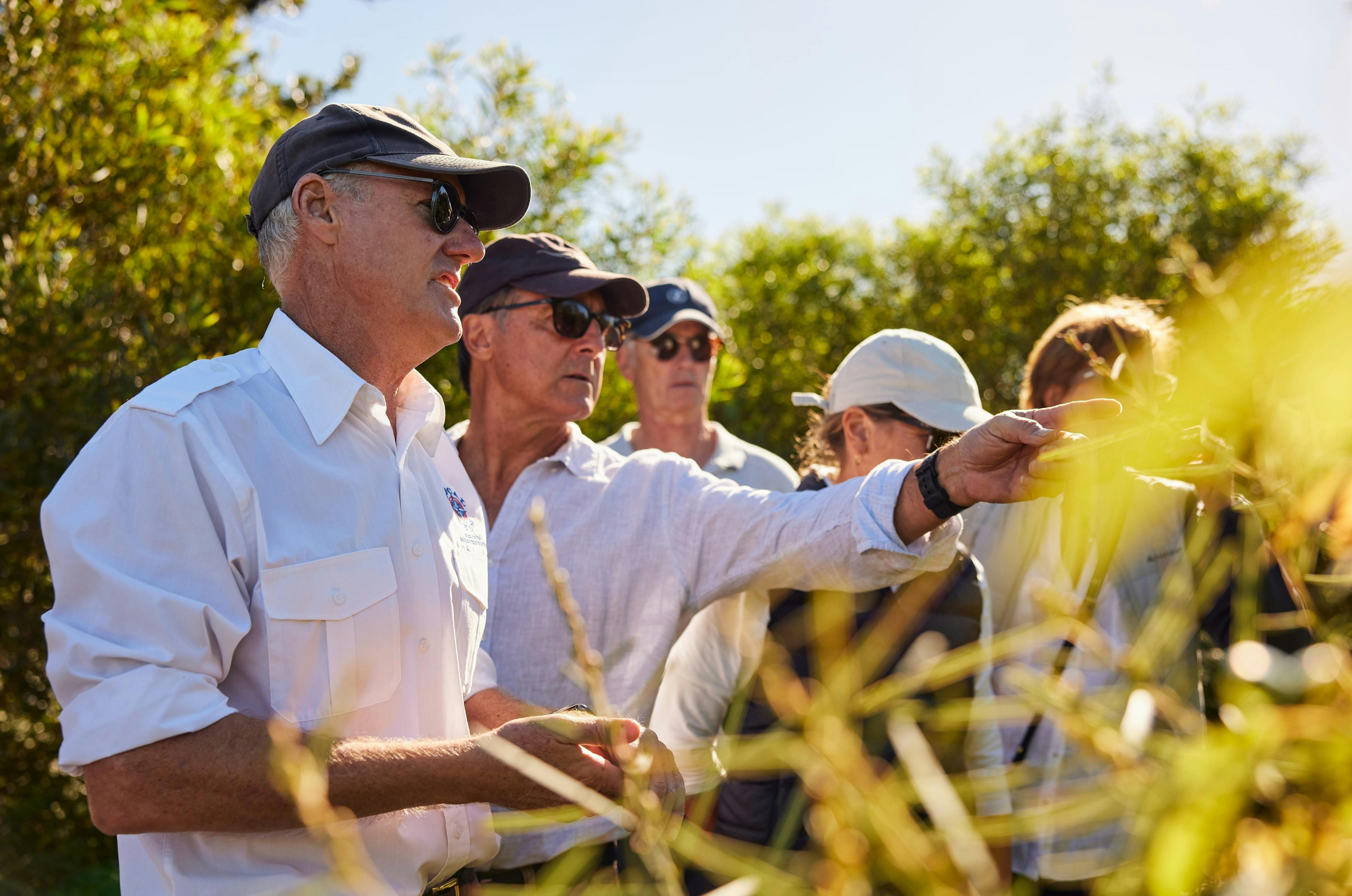 Local Eyes, Balgowlah Heights