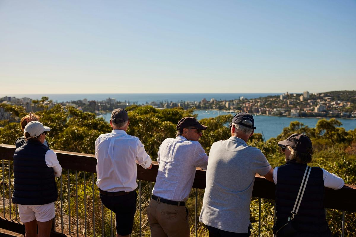 Local Eyes, Balgowlah Heights