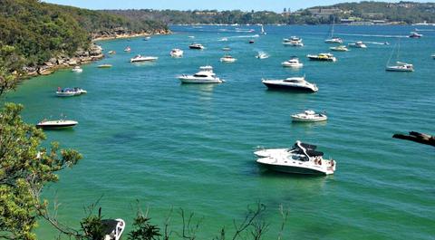 Enjoy the local's Sydney from the harbour