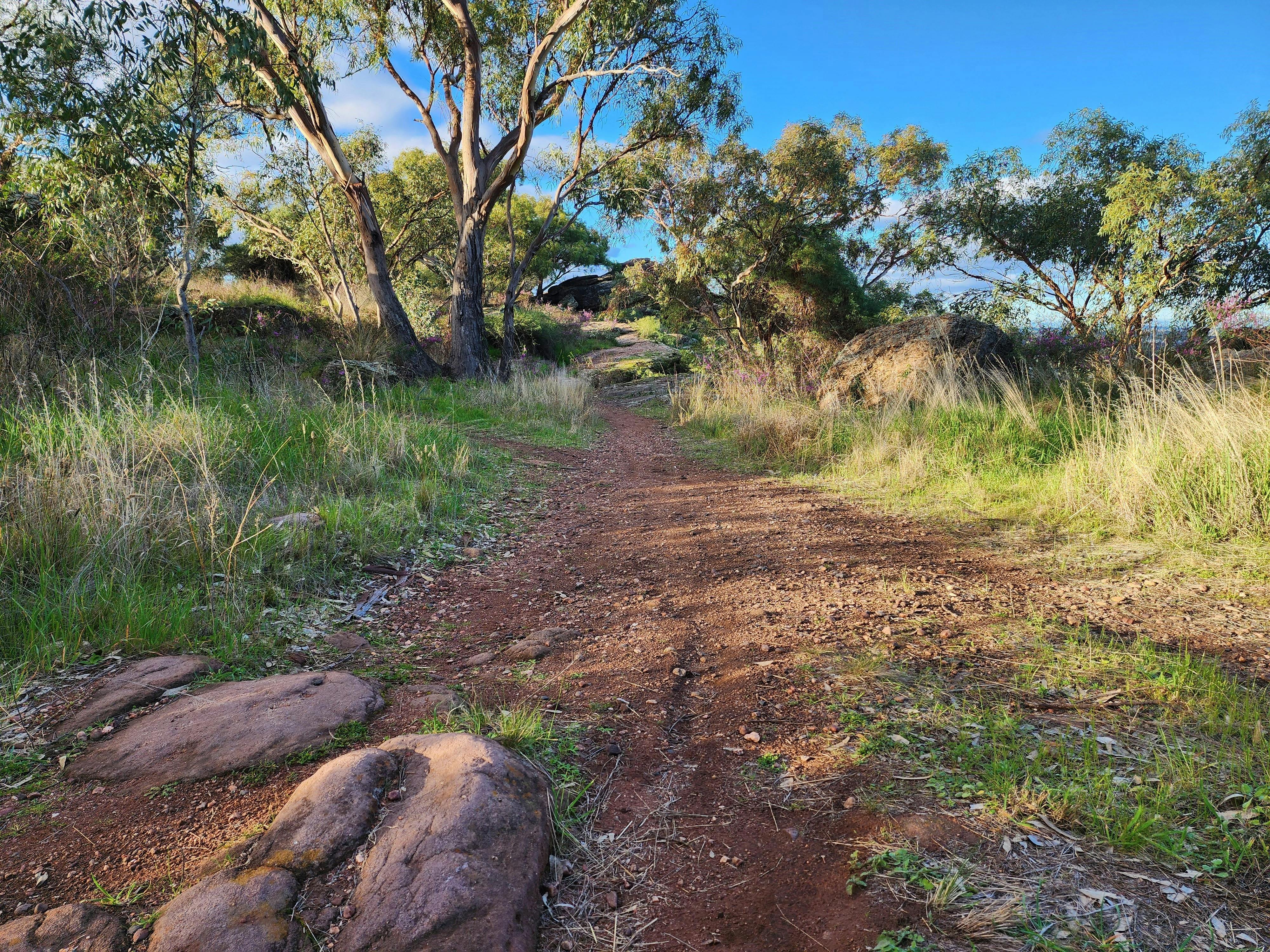 Griffith Self-Guided Tours