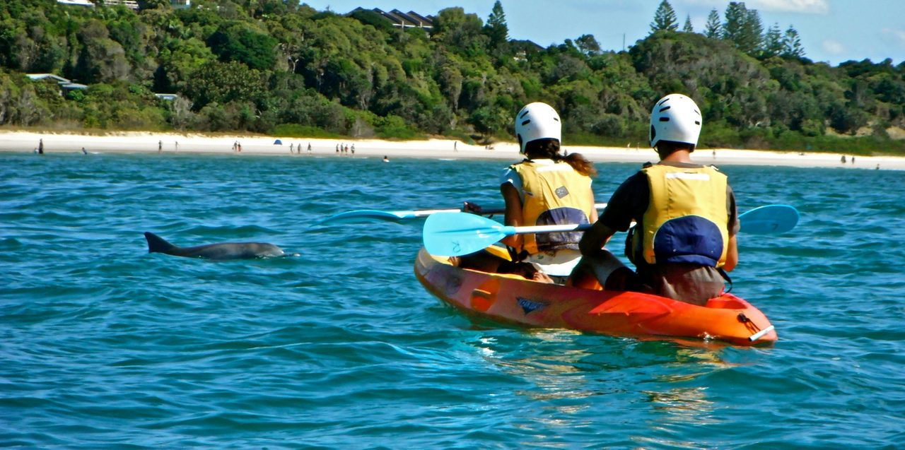 Up close with dolphins